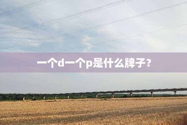 一个d一个p是什么牌子？