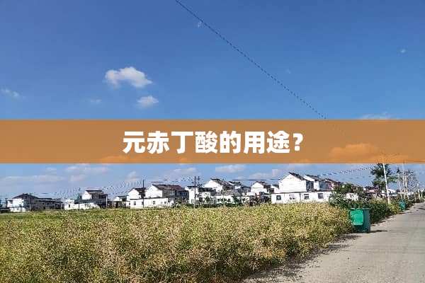 元赤丁酸的用途？