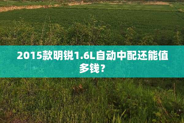 2015款明锐1.6L自动中配还能值多钱？