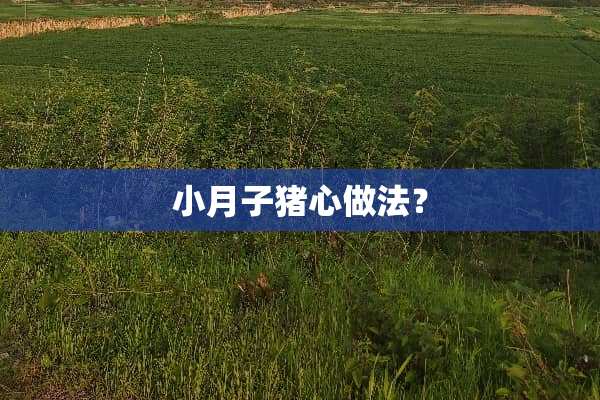 小月子猪心做法？