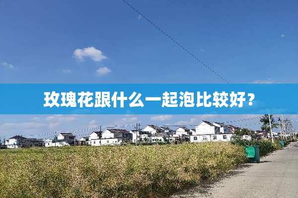 玫瑰花跟什么一起泡比较好？