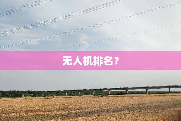 无人机排名？