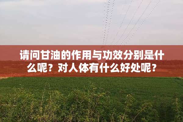 请问**的作用与功效分别是什么呢？对人体有什么好处呢？