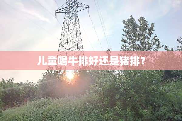 儿童喝牛排好还是猪排？