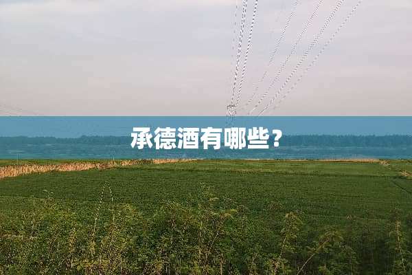 承德酒有哪些？