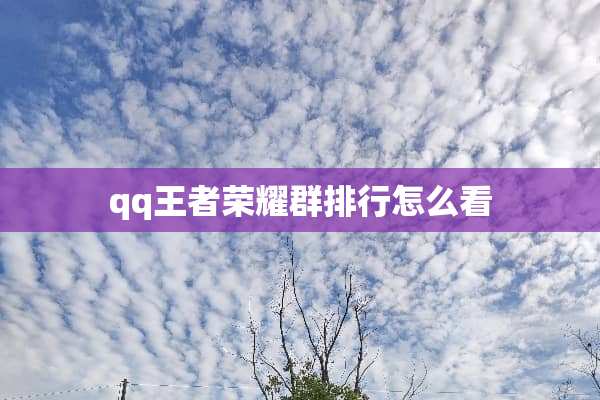 qq王者荣耀群排行怎么看