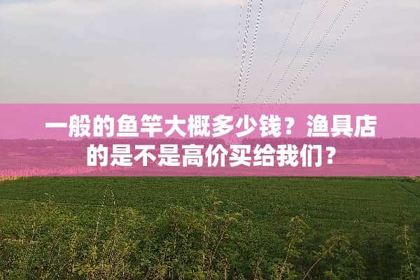 一般的鱼竿大概多少钱？渔具店的是不是高价买给我们？