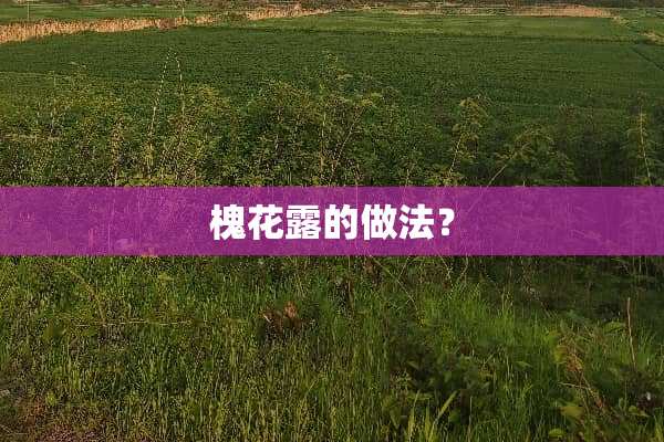 槐花露的做法？