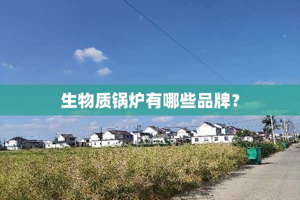 生物质锅炉有哪些品牌？