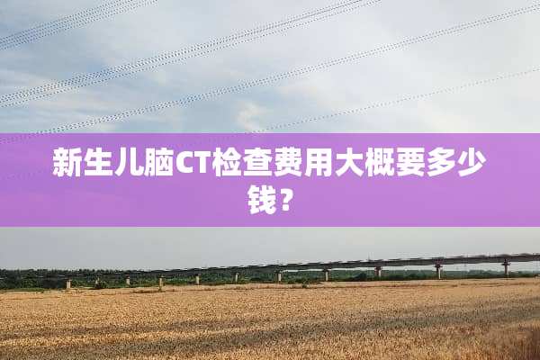 新生儿脑CT检查费用大概要多少钱？