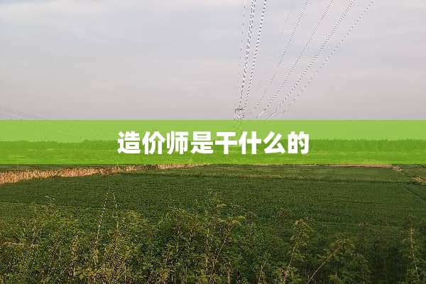 造价师是干什么的