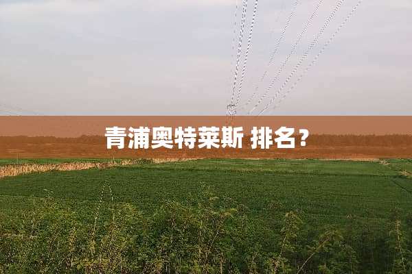 青浦奥特莱斯 排名？