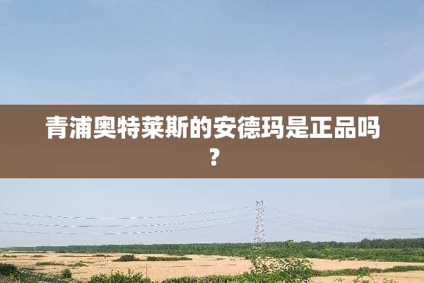 青浦奥特莱斯的安德玛是正品吗？