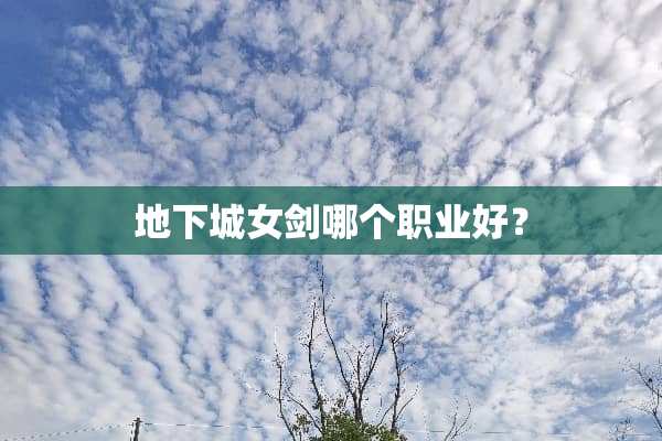 **城女剑哪个职业好？