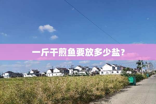 一斤干煎鱼要放多少盐？