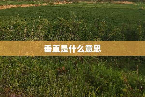 垂直是什么意思