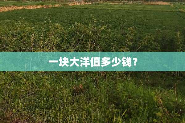 一块大洋值多少钱？