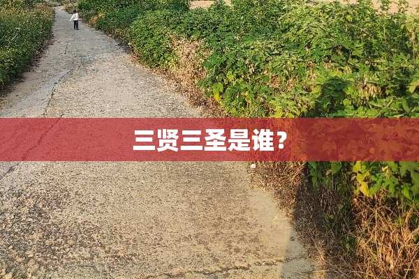 三贤三圣是谁？