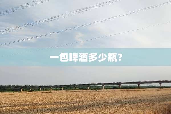 一包啤酒多少瓶？