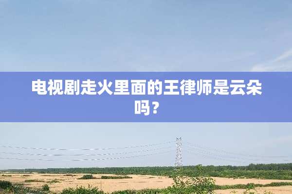 电视剧走火里面的王律师是云朵吗？