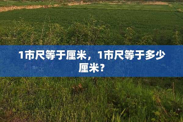 1市尺等于厘米，1市尺等于多少厘米？