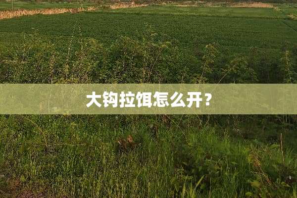 大钩拉饵怎么开？
