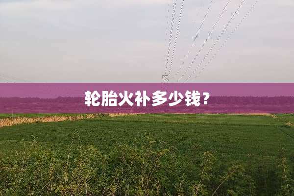 轮胎火补多少钱？