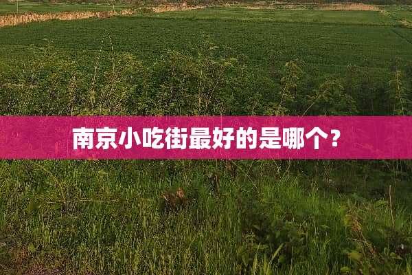 南京小吃街最好的是哪个？