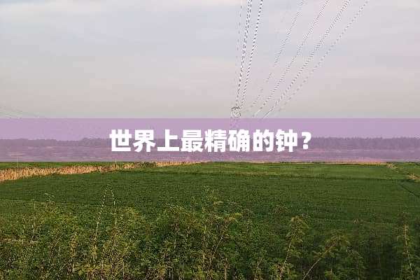 世界上最精确的钟？