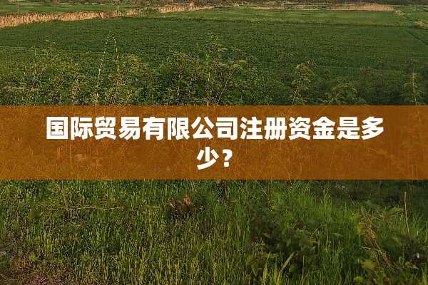 国际贸易有限公司注册资金是多少？