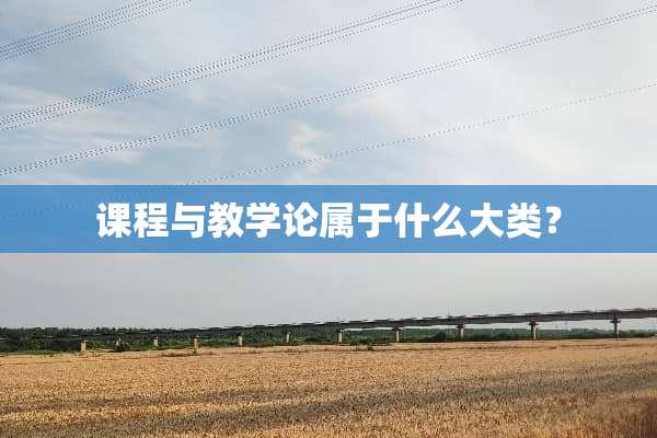 课程与教学论属于什么大类？