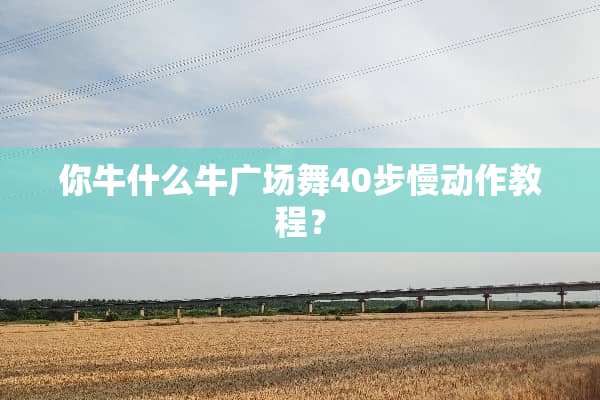 你牛什么牛广场舞40步慢动作教程？