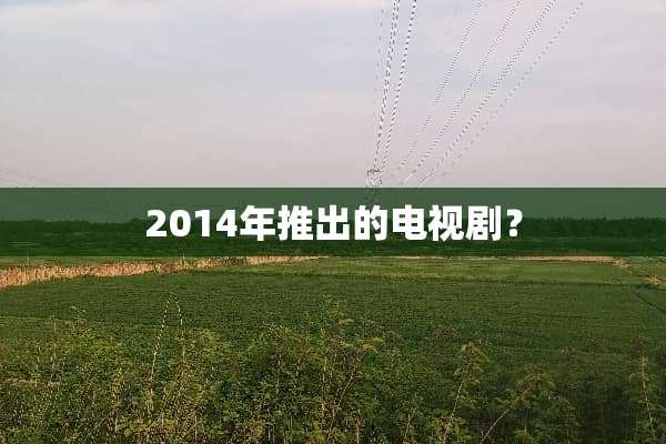 2014年推出的电视剧？