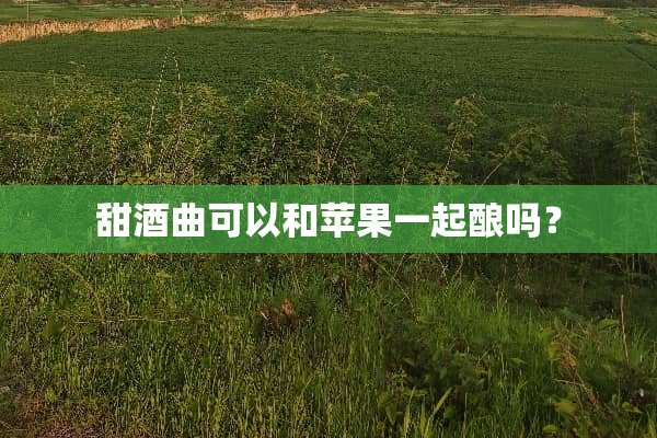 甜酒曲可以和苹果一起酿吗？