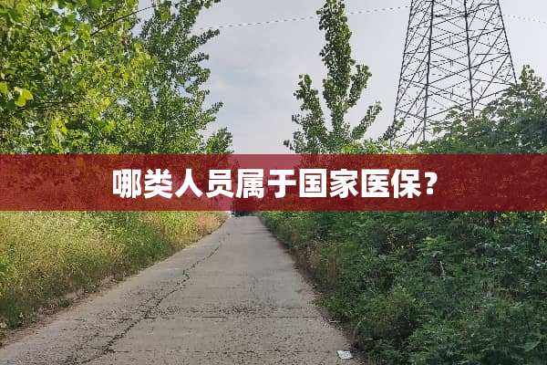 哪类人员属于国家医保？