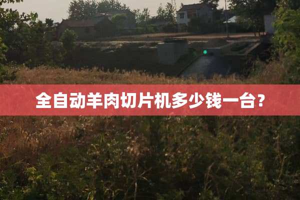 全自动羊肉切片机多少钱一台？