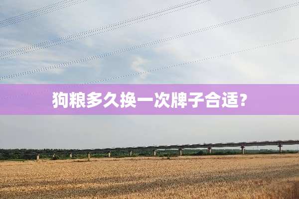狗粮多久换一次牌子合适？