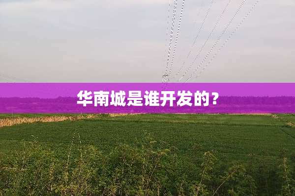 华南城是谁开发的？