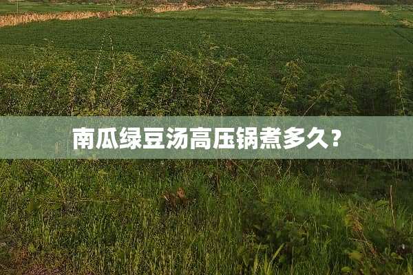 南瓜绿豆汤高压锅煮多久？