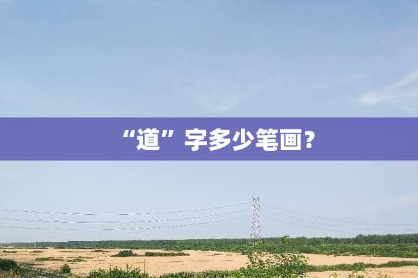 “道”字多少笔画？