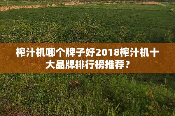 榨汁机哪个牌子好2018榨汁机十大品牌排行榜推荐？