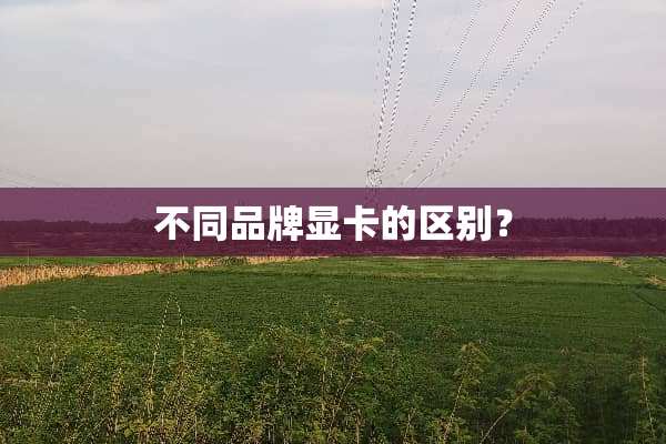 不同品牌显卡的区别？