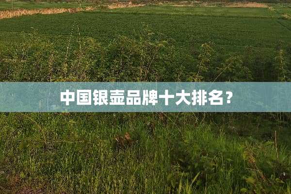 中国银壶品牌十大排名？