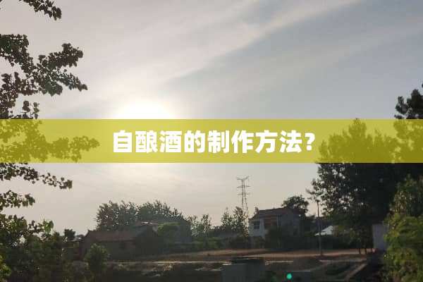自酿酒的制作方法？