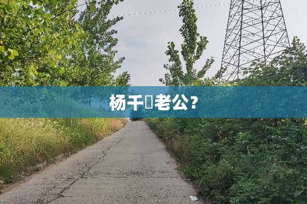 杨千嬅老公？