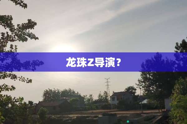 龙珠Z导演？