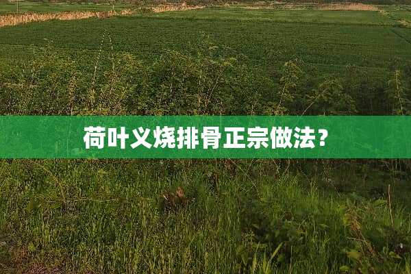 荷叶义烧排骨正宗做法？