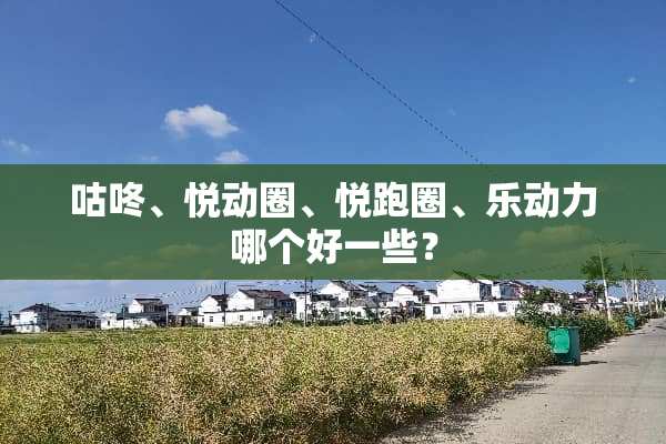 咕咚、悦动圈、悦跑圈、乐动力哪个好一些？