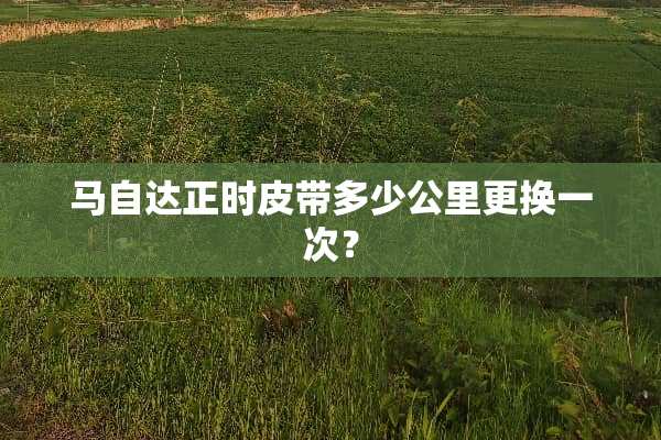 ***正时皮带多少公里更换一次？