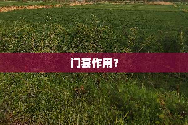 门套作用？